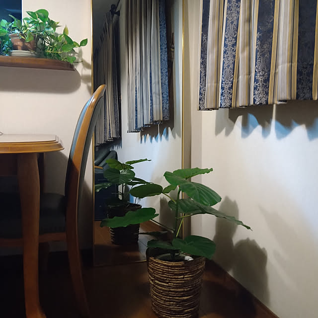 miy-9320さんの実例写真