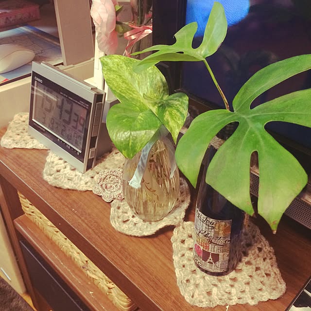 Yukoさんの実例写真