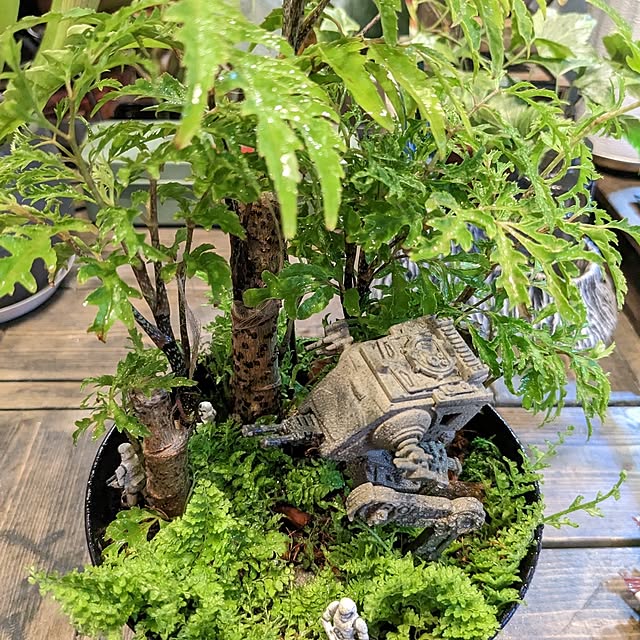 GINさんの部屋