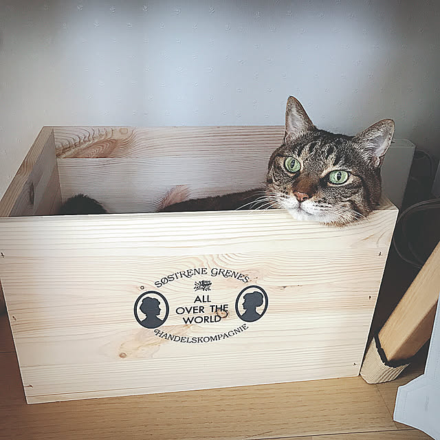 lovecatさんの実例写真