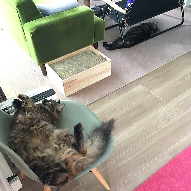 mikomaruさんの実例写真