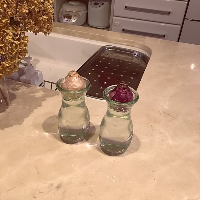 irohamamaさんの実例写真