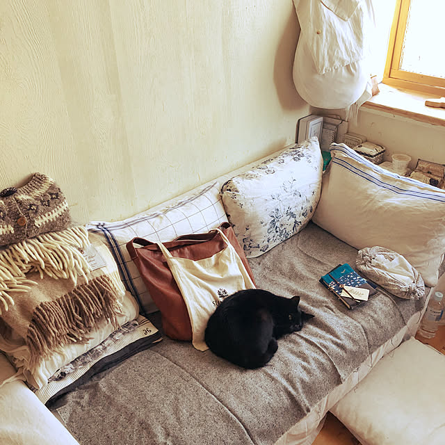neko-2.2.2runmuさんの実例写真