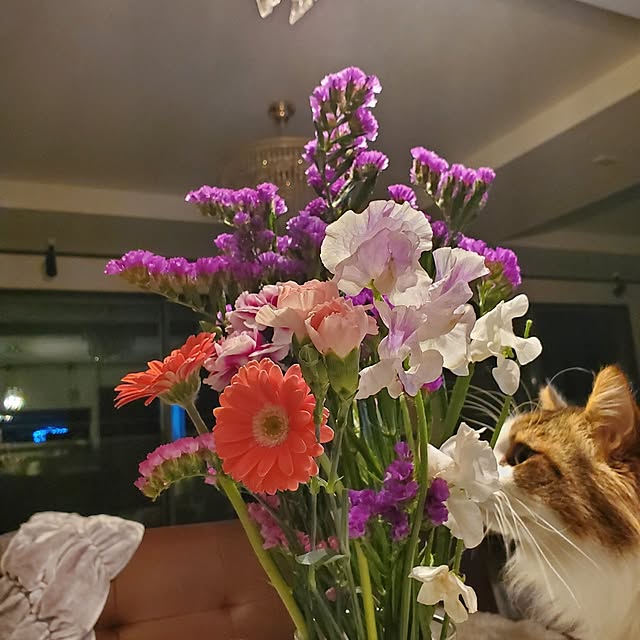 muku+maroさんの実例写真