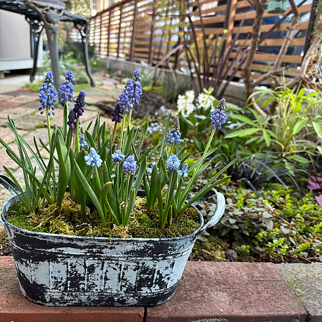 kyoko1124koさんの実例写真