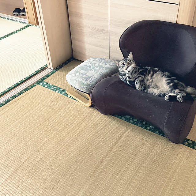 richanさんの実例写真