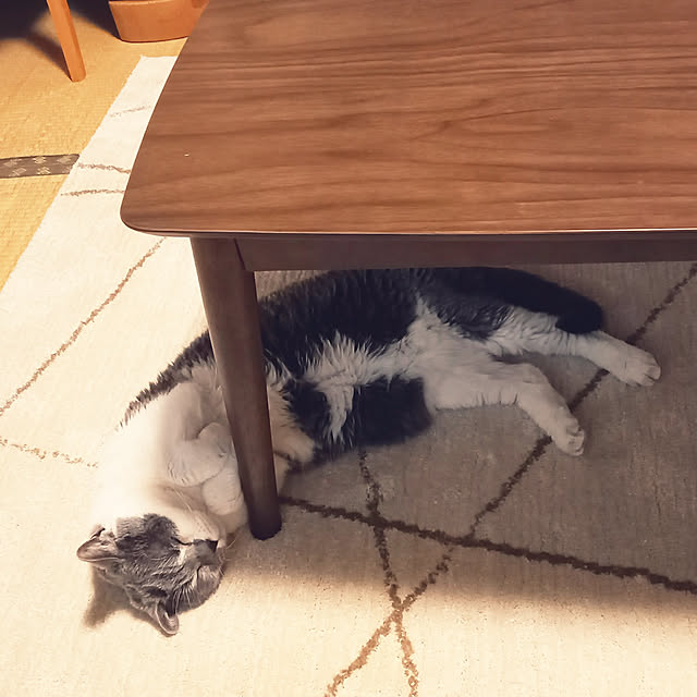 rhuさんの実例写真