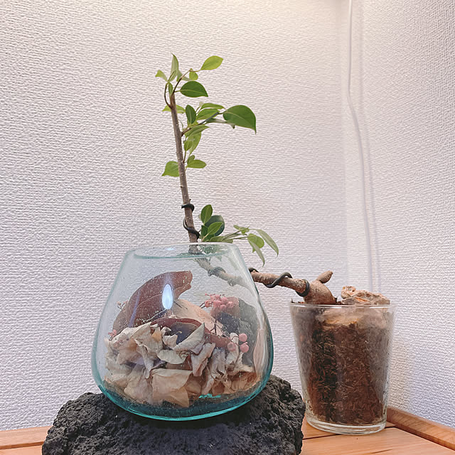 nahonさんの部屋