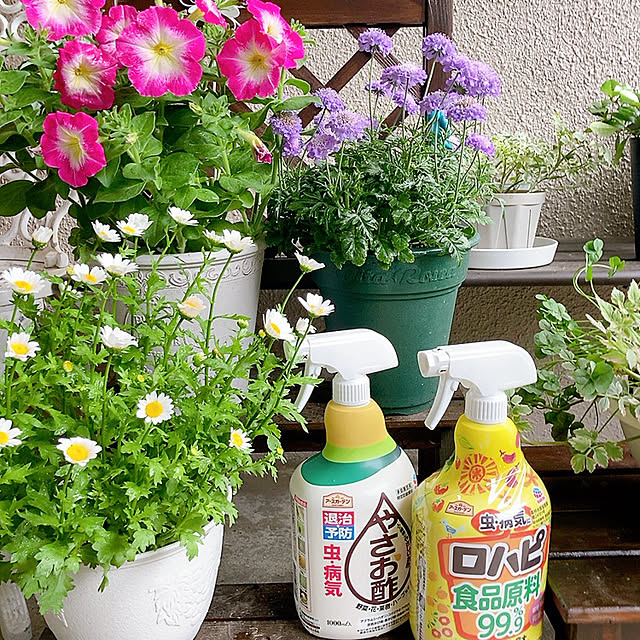 Dさんの実例写真