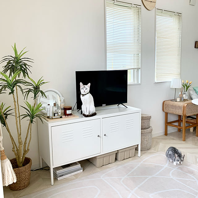 北欧 IKEAキャビネットのおすすめ商品とおしゃれな実例 北欧 IKEAキャビネットのおすすめ商品とおしゃれな実例