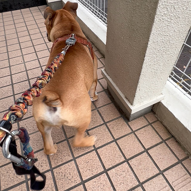 chi_gogaさんの部屋