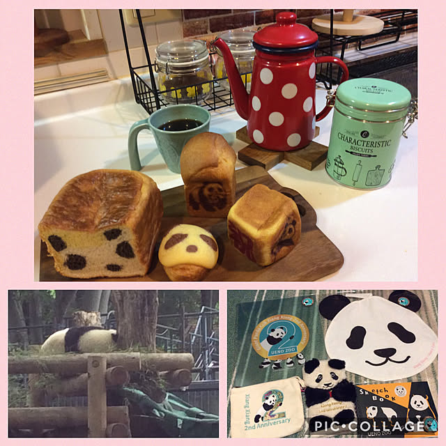 eighterさんの実例写真