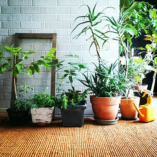 shige0922さんの実例写真