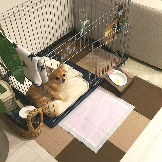 kojikojiさんの実例写真
