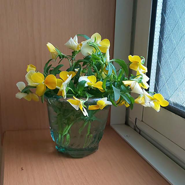 YUKOさんの実例写真