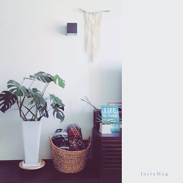harusoraさんの実例写真