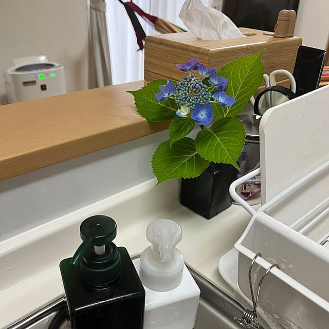 Karlyさんの実例写真