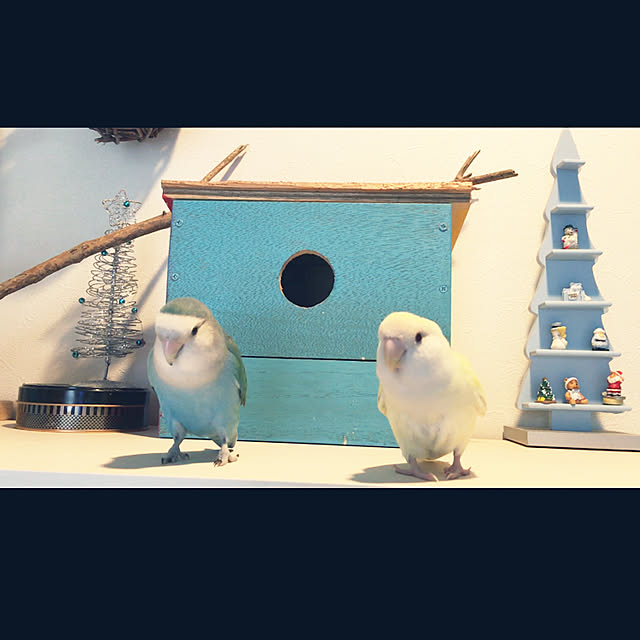choco-kingさんの実例写真