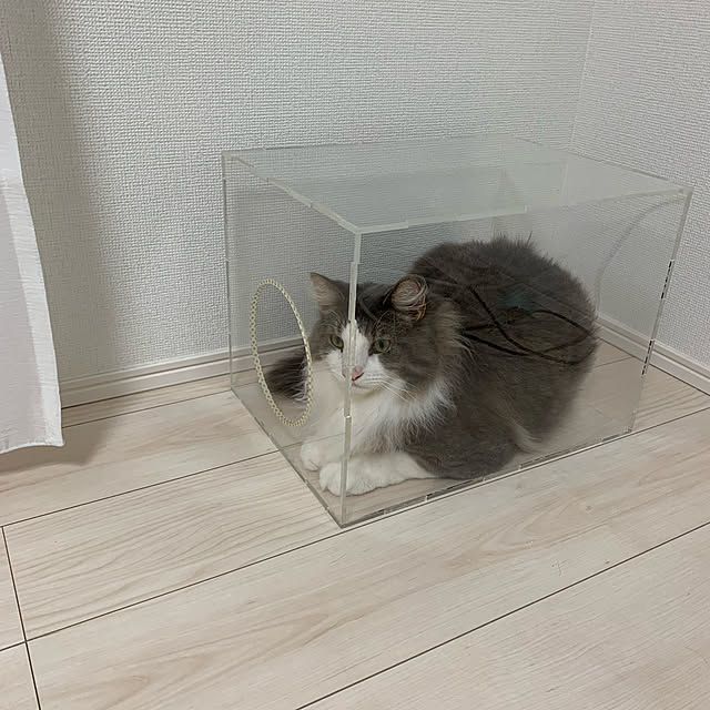 leoさんの実例写真