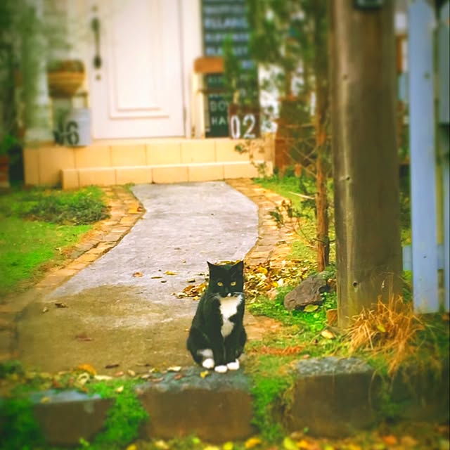 romiさんの実例写真