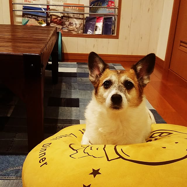 Momokaさんの実例写真