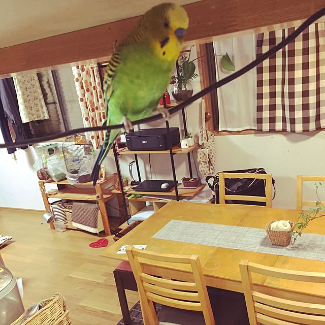 cyaroさんの実例写真
