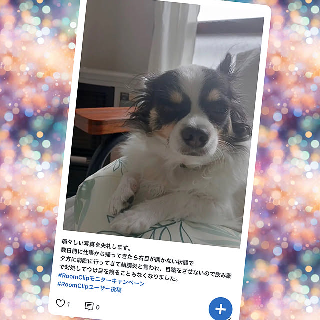 sakuさんの部屋