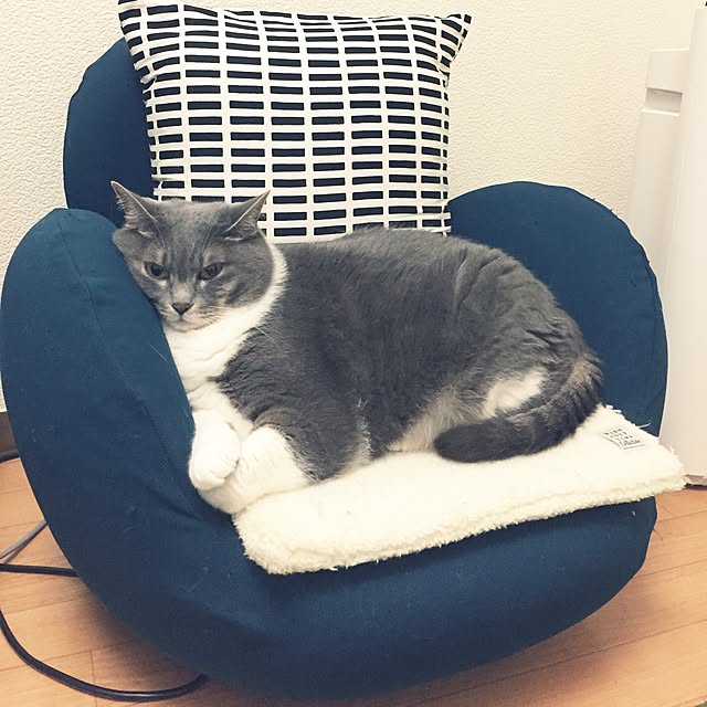toufuさんの実例写真