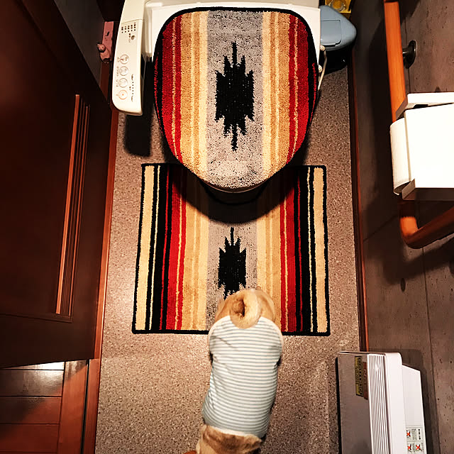 kellyさんの実例写真