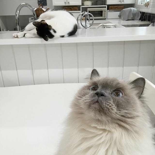 yuchiさんの実例写真