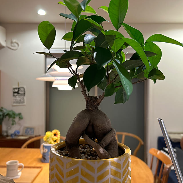 mintさんの実例写真