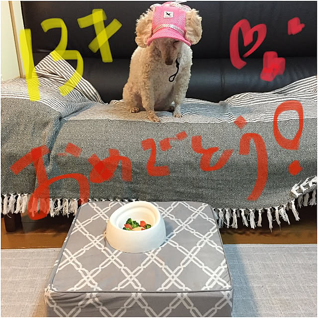 Junran50さんの実例写真