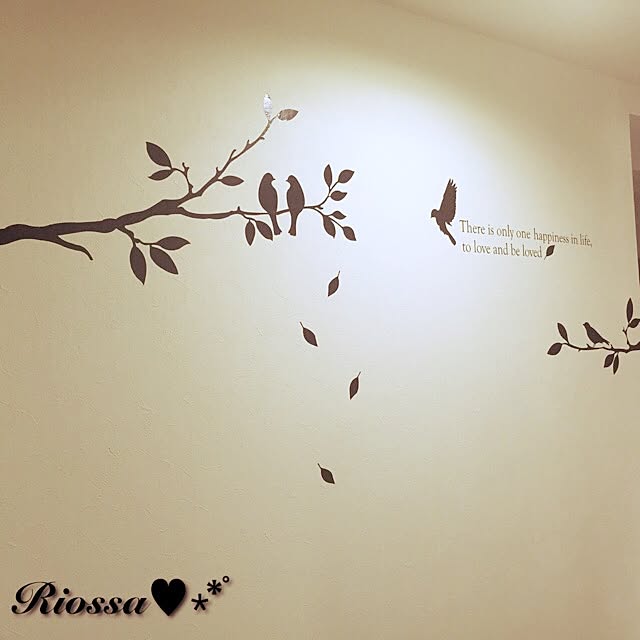 Riossaさんの実例写真