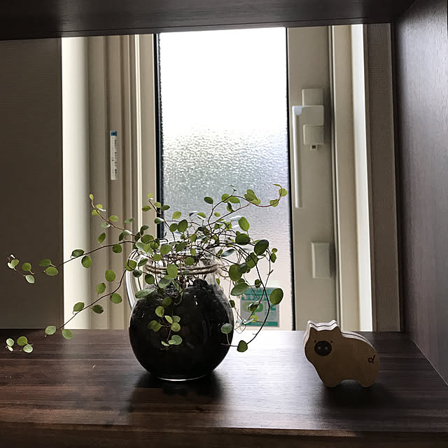 megmagさんの実例写真