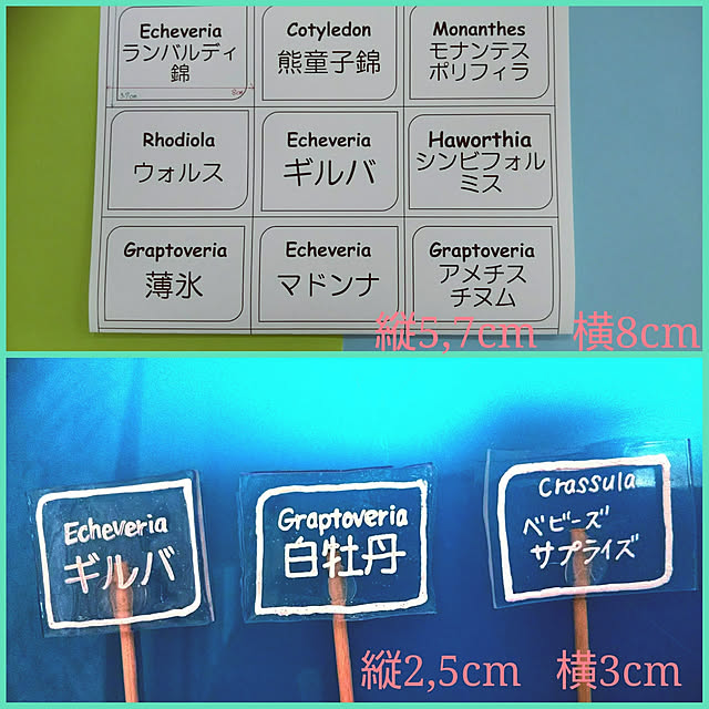 REI.DIYさんの実例写真