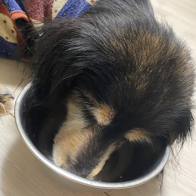 ohanaさんの部屋