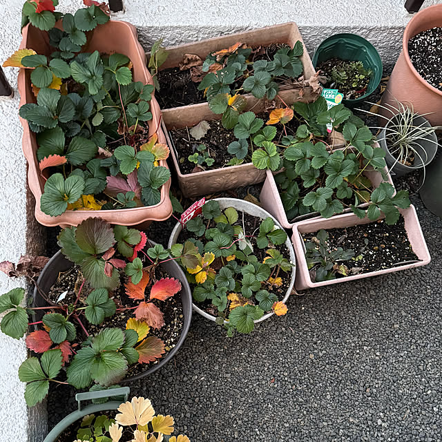 mamizaさんの部屋