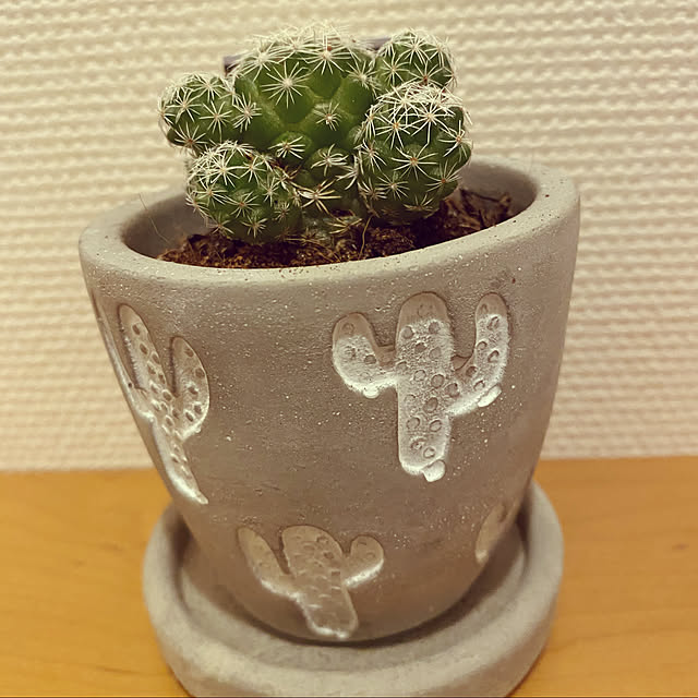 fuchurさんの実例写真