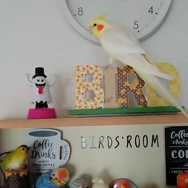 toratanさんの部屋