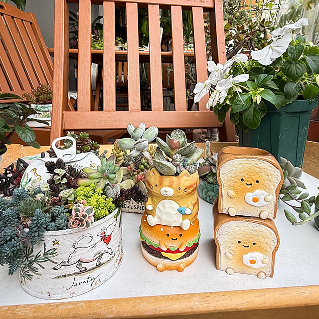 Aqettyさんの部屋