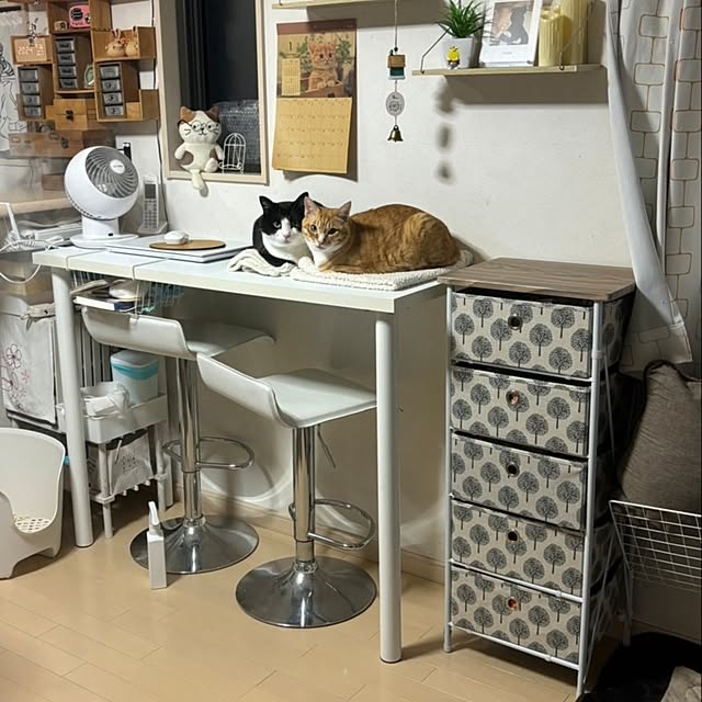 koromaroさんの実例写真