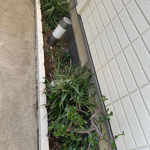 Momooさんの実例写真