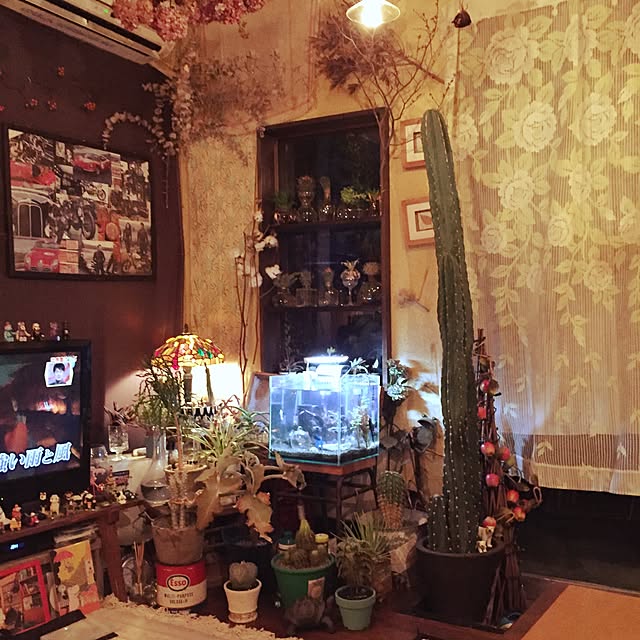 Masahideさんの実例写真