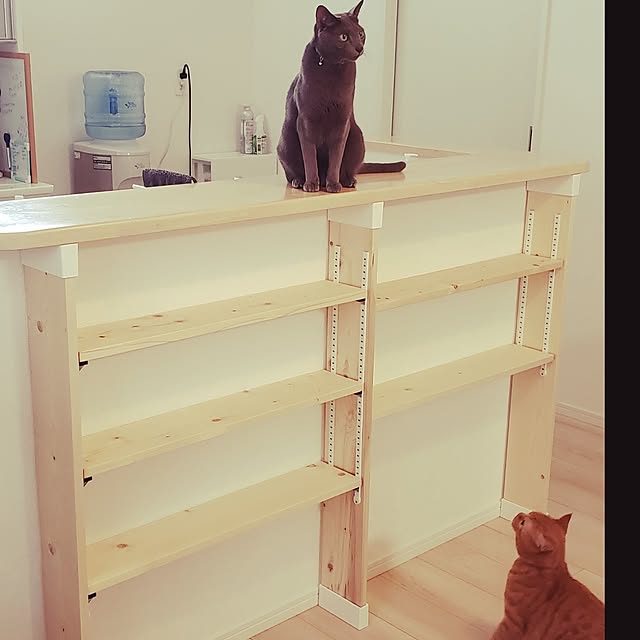 asahinaさんの部屋