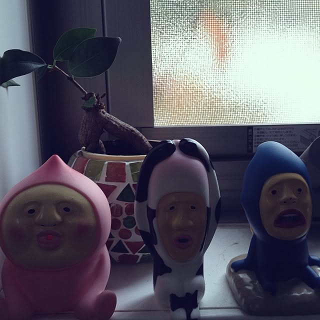 cocoさんの実例写真