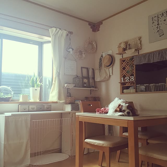 canmilmamaさんの実例写真