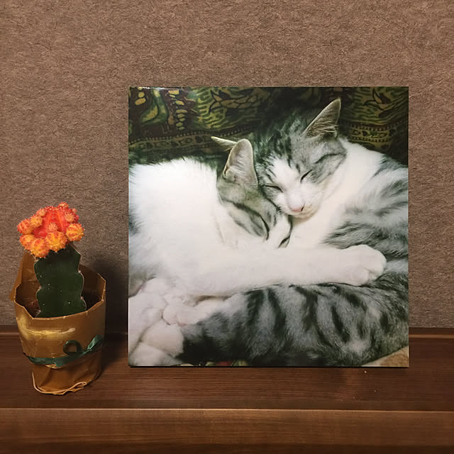 cherryさんの実例写真