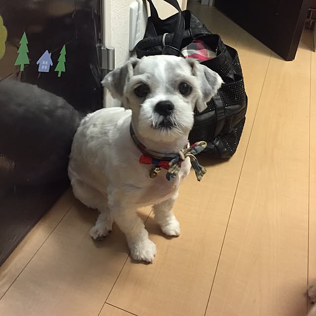 emiさんの実例写真