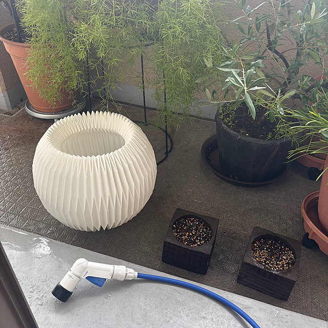 cottoncottonさんの実例写真