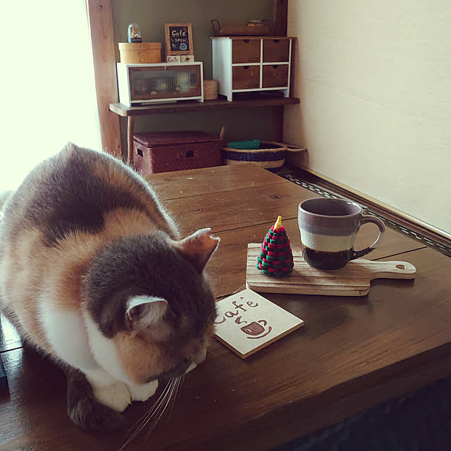 fukuさんの実例写真